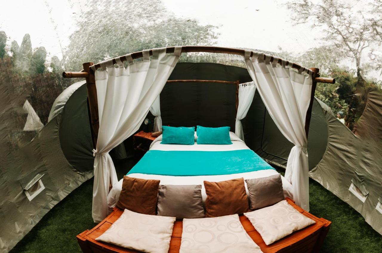 Mindo Glambird Glamping & Lodge المظهر الخارجي الصورة