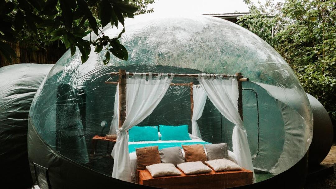 Mindo Glambird Glamping & Lodge المظهر الخارجي الصورة
