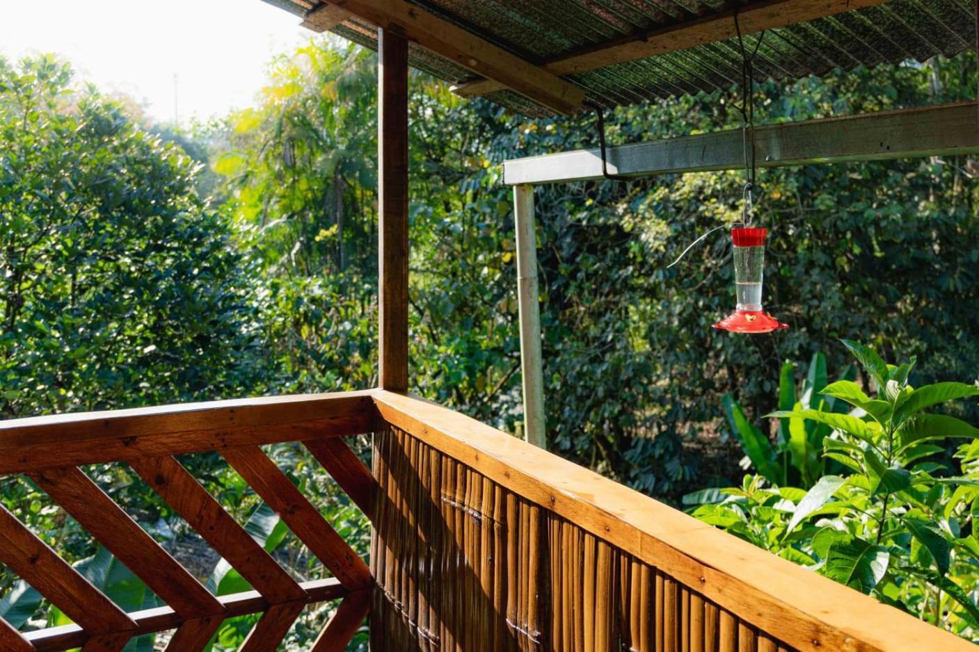 Mindo Glambird Glamping & Lodge المظهر الخارجي الصورة