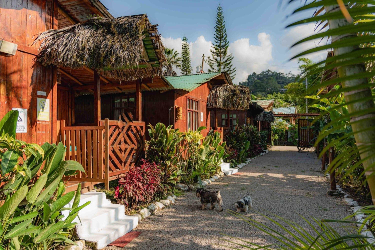 Mindo Glambird Glamping & Lodge المظهر الخارجي الصورة