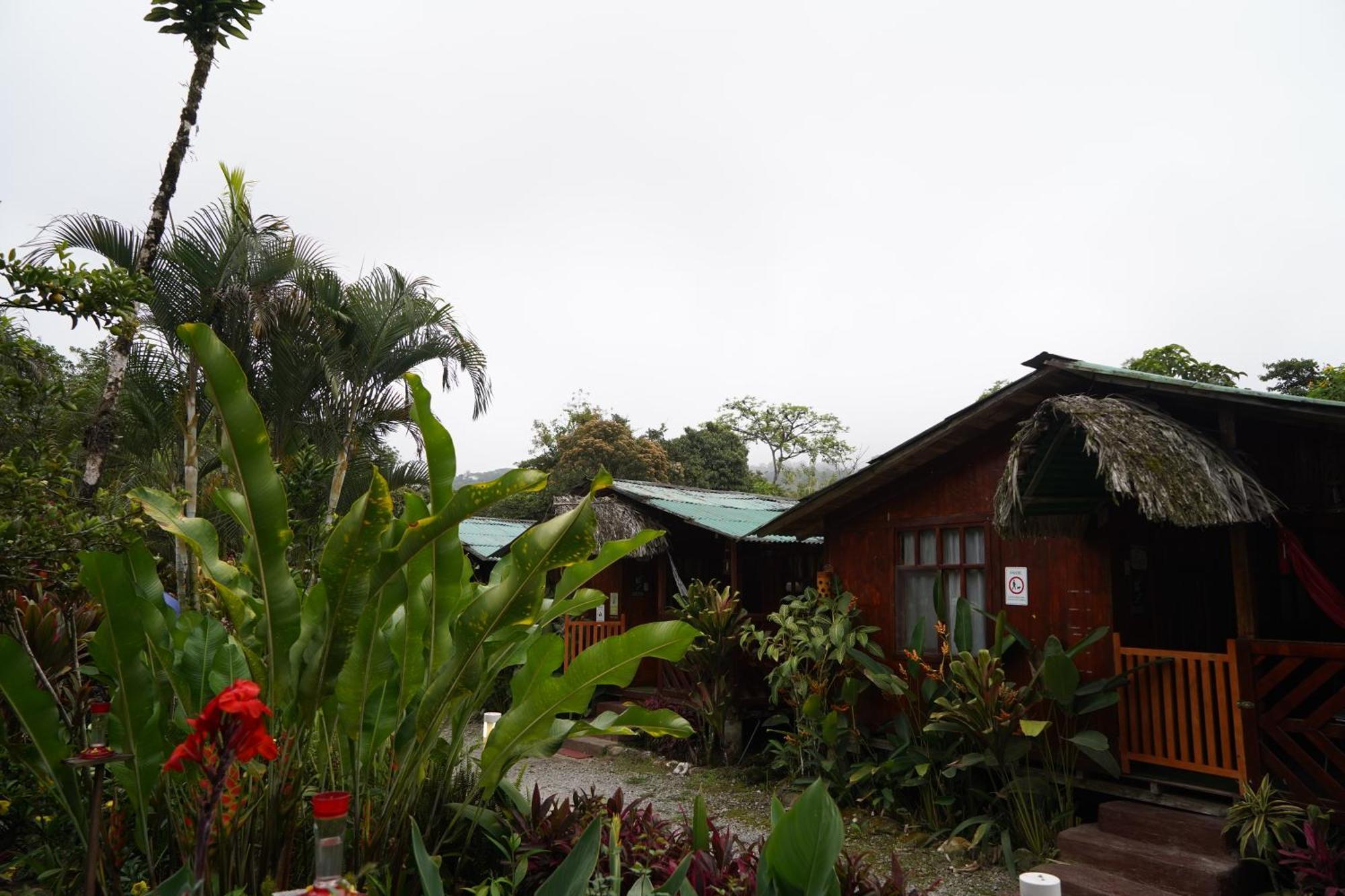 Mindo Glambird Glamping & Lodge المظهر الخارجي الصورة