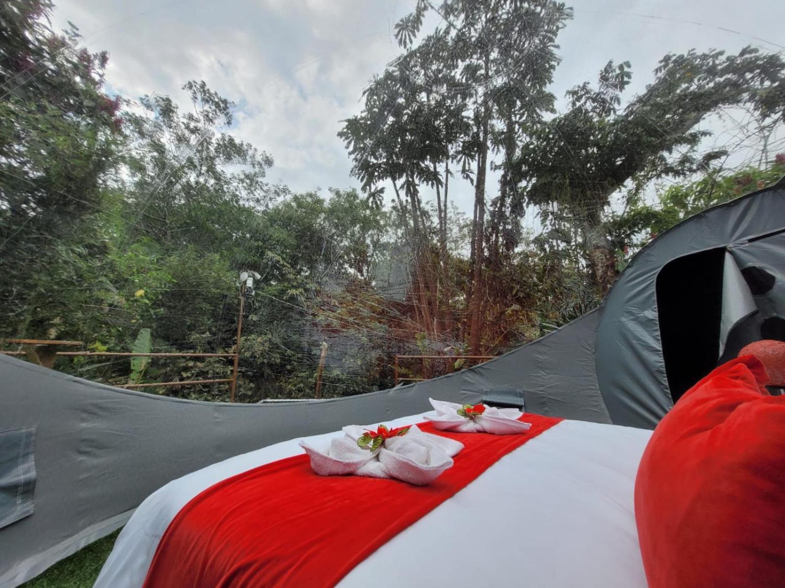 Mindo Glambird Glamping & Lodge المظهر الخارجي الصورة